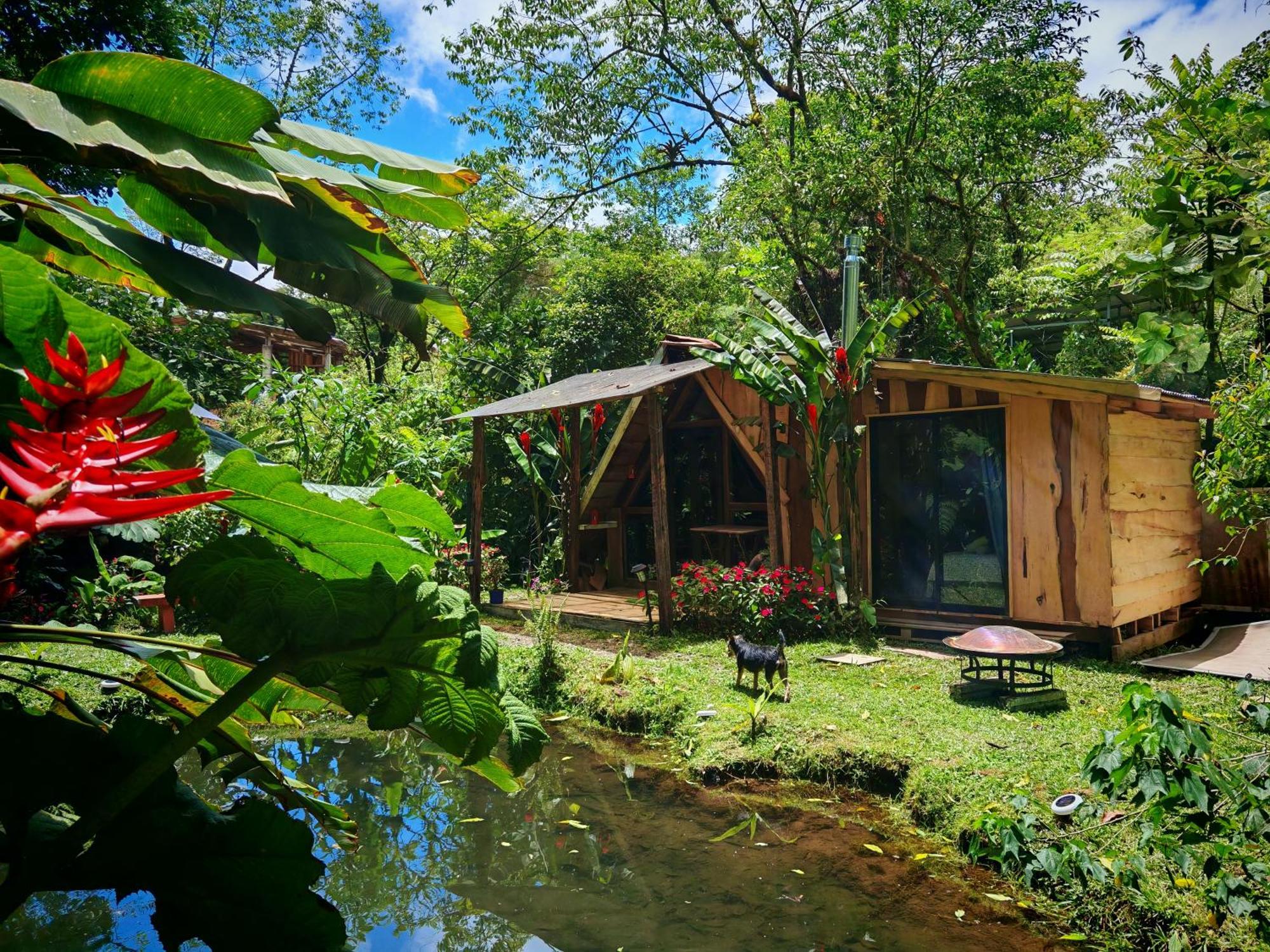 Tipi Maleku Villa Heredia Exteriör bild